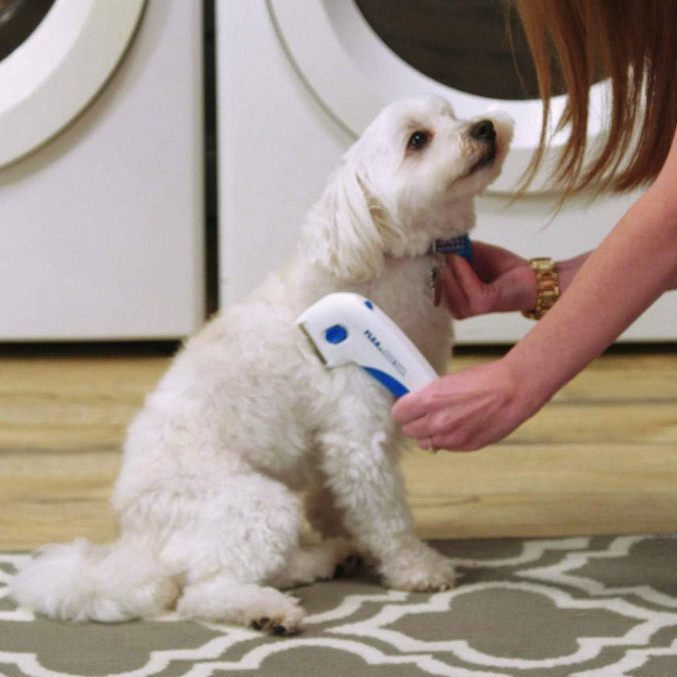 Flea Doctor™ Cepillo eléctrico quita pulga 1