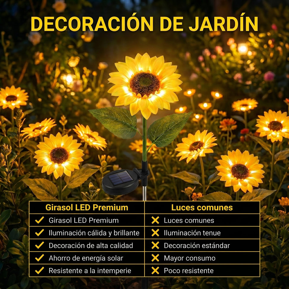 Luz Girasol Premium™ 1