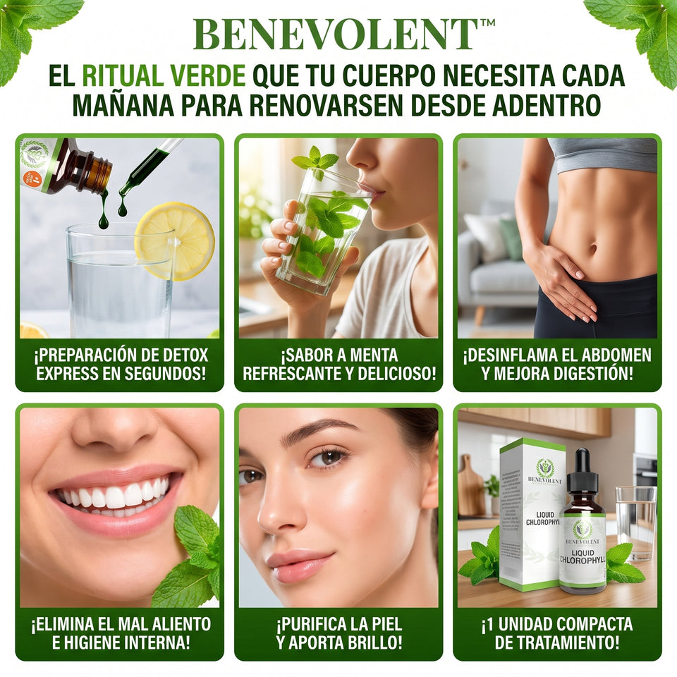 Benevolent Nourishment™ Clorofila Líquida Natural Vegana 2