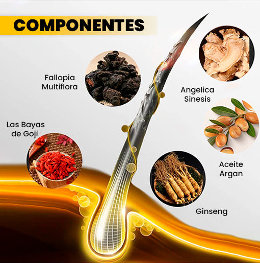 SHAMPOO DISSAR® CUBRE CANAS UNISEX 2 EN 1 3