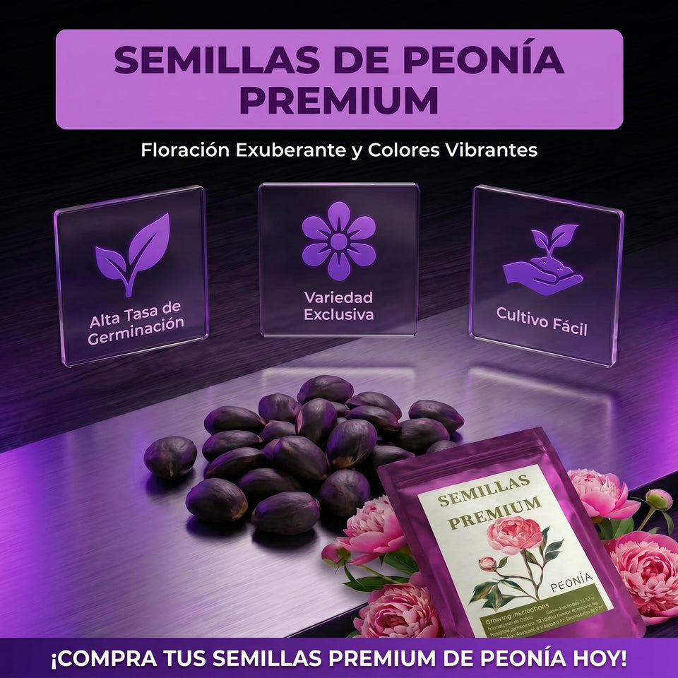 Semillas PREMIUM de Peonias 3