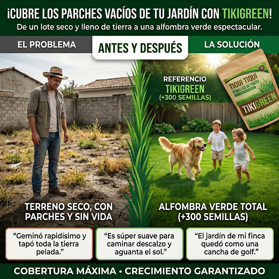 Semillas PREMIUM TikiGreen De Pasto Tipo Tiki Tiki 1
