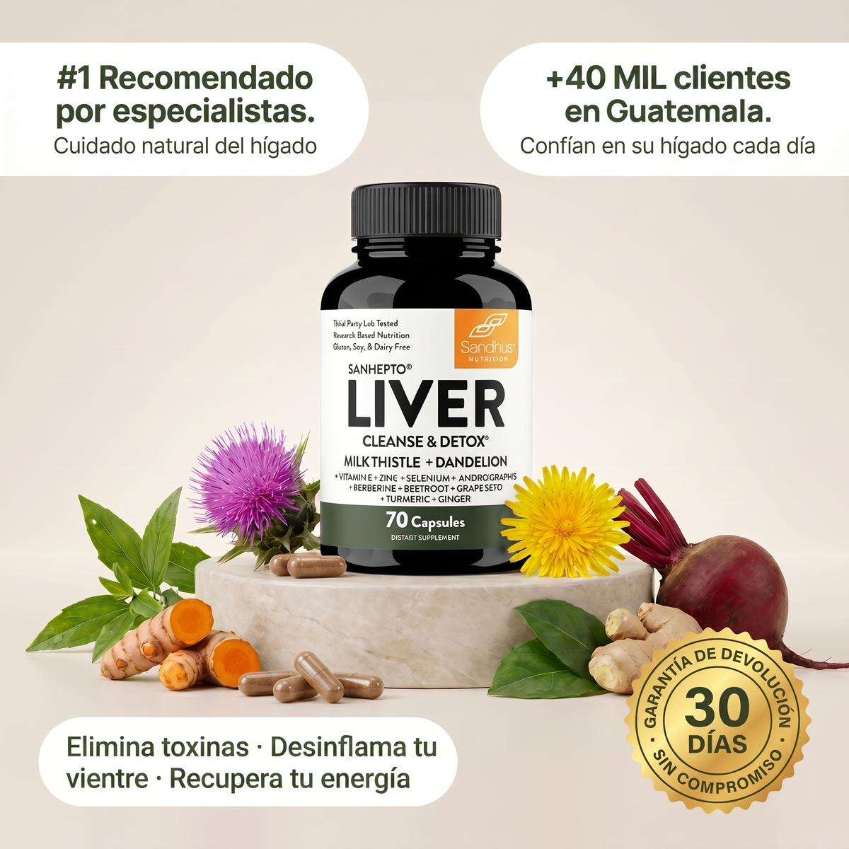 Liver Cleanse & Detox — Limpieza y Reparación del Hígado