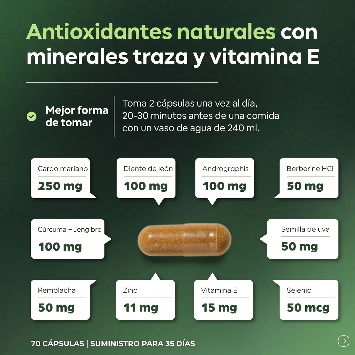 Liver Cleanse & Detox — Limpieza y Reparación del Hígado