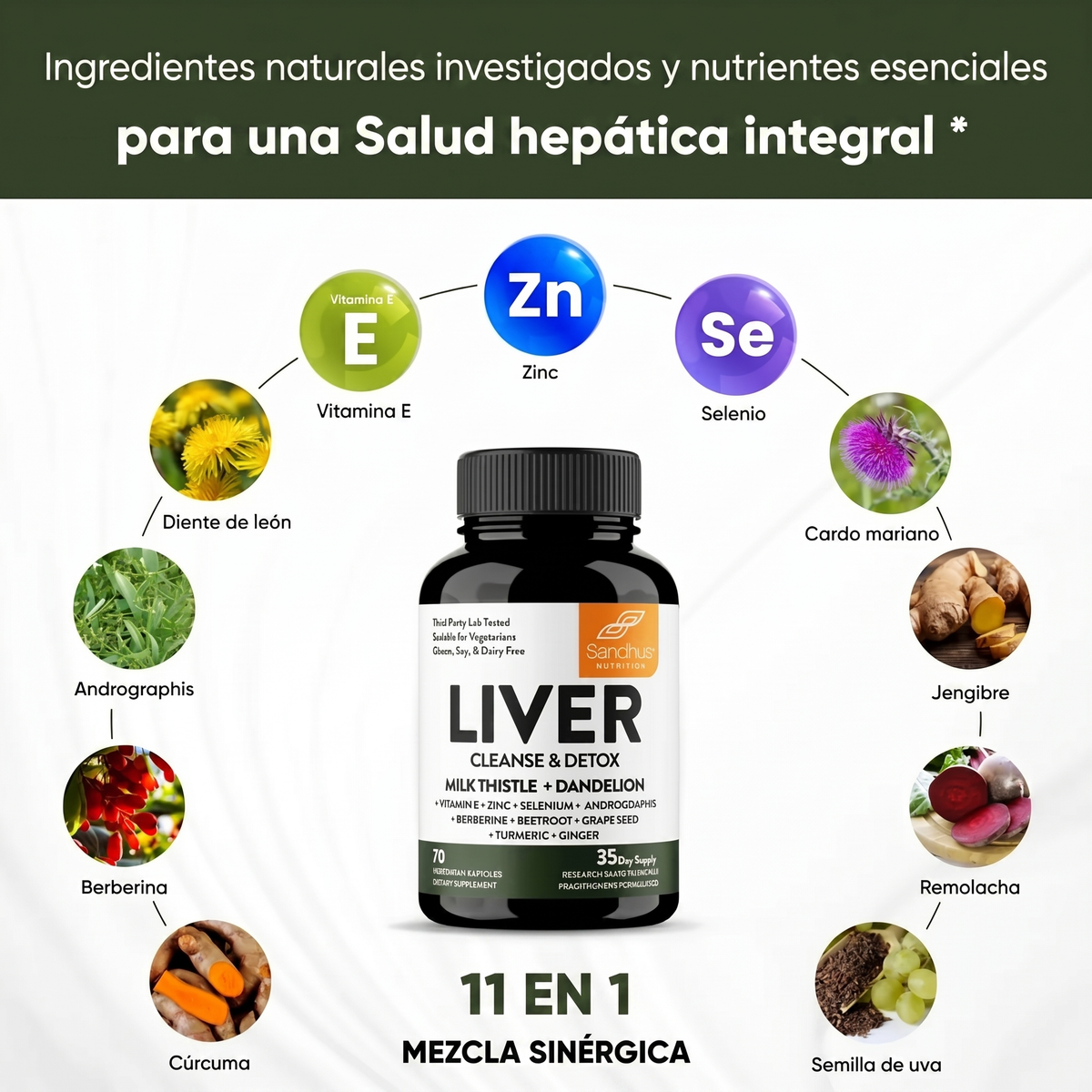 Liver Cleanse & Detox — Limpieza y Reparación del Hígado