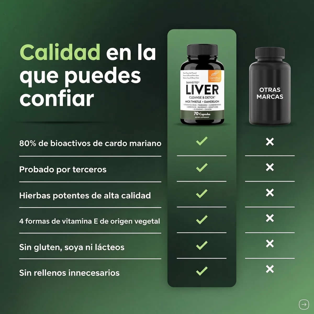 Liver Cleanse & Detox — Limpieza y Reparación del Hígado